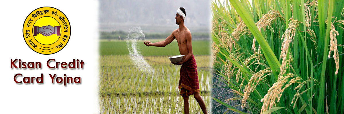 Kisan Cadit Card